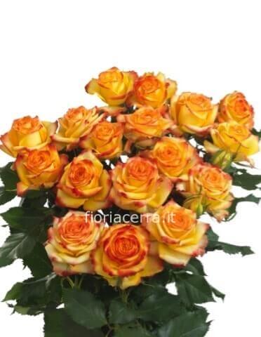 Rose colore arancio da comporre in mazzo per numero di steli.